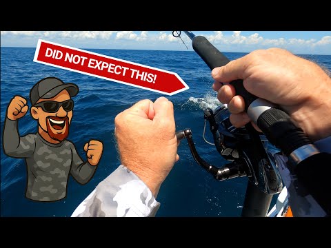 Fishing offshore st. Augustine and caught THIS! video thumbnail