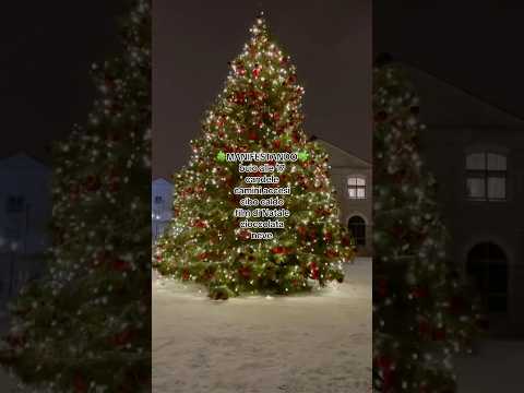 Manifesto al MASSIMO 🍀✨ #vibes #natale #natale2025 #christmas