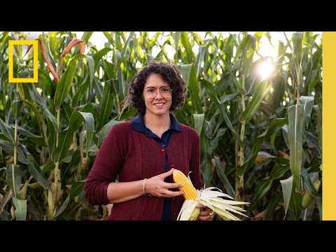 Regeneration in Action | Building Legacy in Brazil | National Geographic