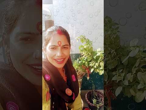 लहरी लहरी लहरे रे मेरे आँगन की तुलसी