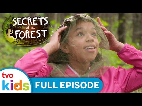 Going Remote 🚤🌲 SECRETS OF THE FOREST Season 1 Full Episode | TVOkids