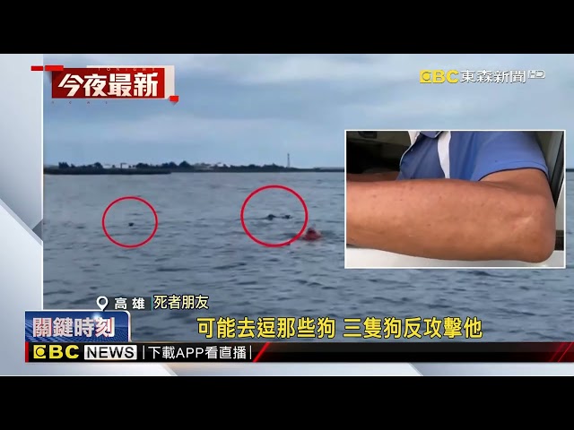 離奇！76歲男海泳遭3隻流浪狗攻擊 溺水送醫不治@newsebc