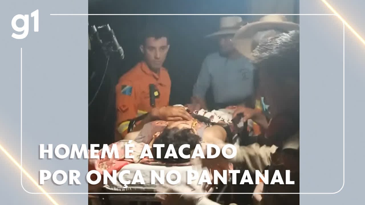 Homem é atacado por onça no Pantanal, MS; vítima sofreu ferimentos graves