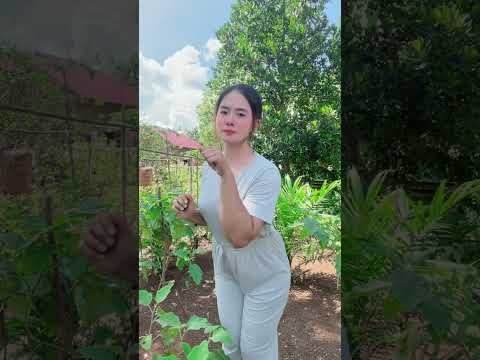 #gadisdesa #shortsfeed #shorts #viral #cute #waterfall #humor #outfit #funny #comedy #vlog