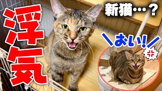 動画サムネイル
