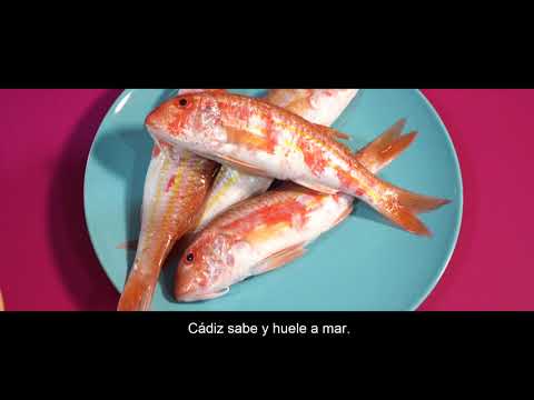 Cádiz en 5 sentidos | Pescados y mariscos