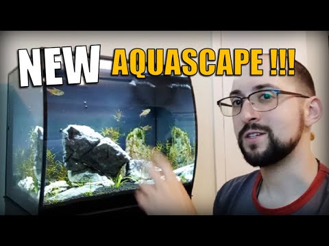 I REDID the WHOLE aquarium! Here it is! I am proud to present you my new aquascape for the fluval flex 15G aquarium. After a lot