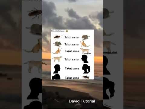 siklus kehidupan 🤔 #meme #funny #trending #shorts