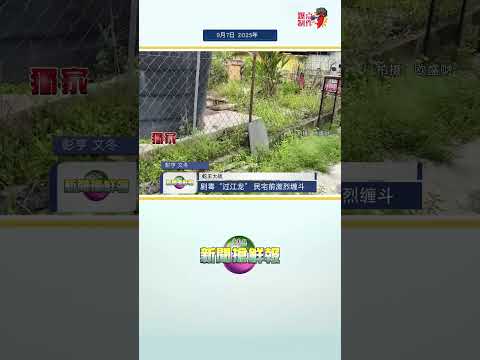 【逾十尺剧毒“过江龙” 民宅前激烈缠斗】