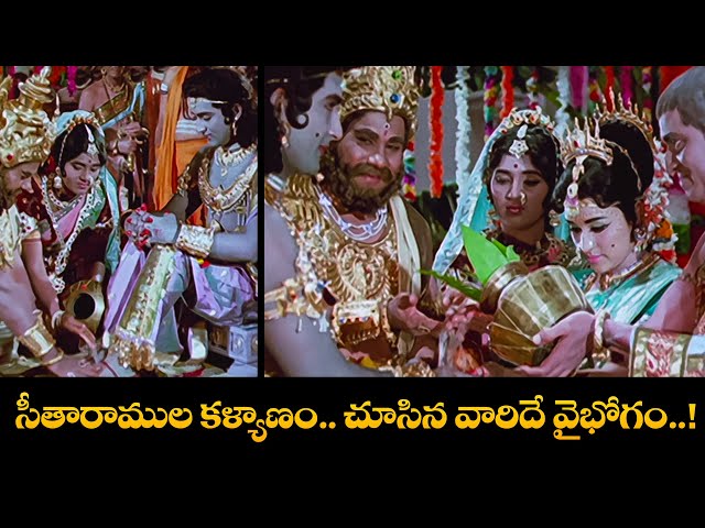 సీతారాముల కళ్యాణం చూసిన వారిదే వైభోగం......! | Shobhan Babu, Chandrakala | Sampoorna Ramayanam | ETV