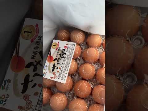 大阪No,1卵やみつきになります