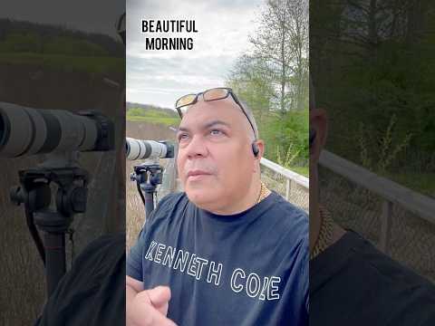 Bird Photography results with my Canon R10 I look at my shots using the Canon R10