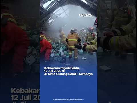 Video thumbnail Gudang Sarang Burung Walet Terbakar Hebat di Surabaya
