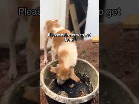 Donate where the spirit of Giving link in bio 👇👇👇 to support