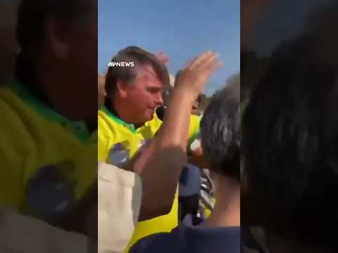 Bolsonaro é atacado por um enxame de abelhas #shorts