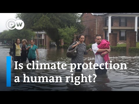 Governments have to step up their game on climate action | DW News