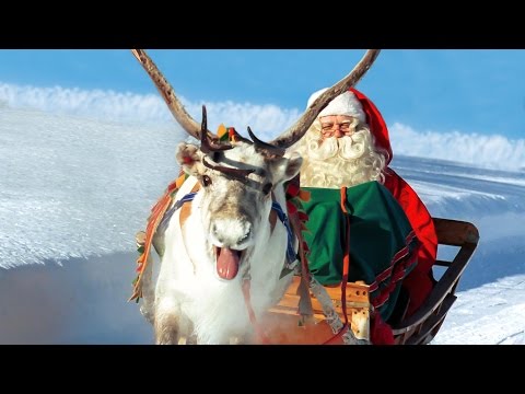 Los Renos de Papá Noel Santa Claus en Laponia Finlandia: video para los niños Rovaniemi