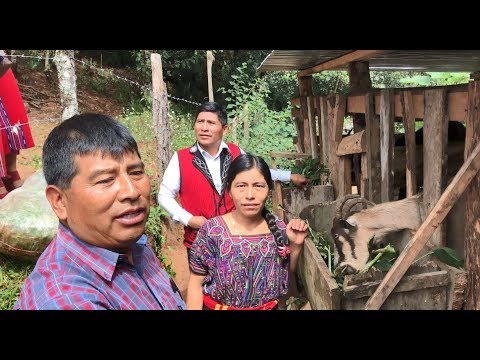A Hopeful Visit to a Thriving Family Farm in Guatemala
