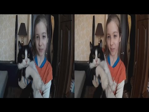 Girl Dasha and the cat Sonia in 3D ! The Hunger Games !3D VIDEO
