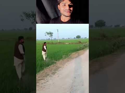 ये वीडियो **Sora AI** ने बनाई है #SoraAI #reactionvideo #comedy #funny