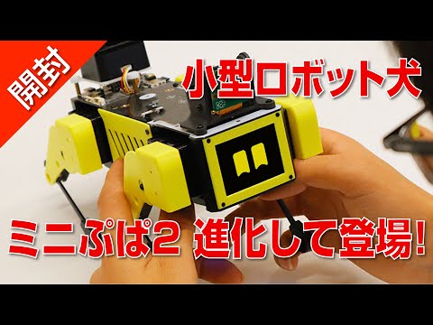 【 開封 】小型ロボット犬『ミニぷぱ２』日本上陸！CtatGPT で会話も可能に｜MangDang Mini Pupper2