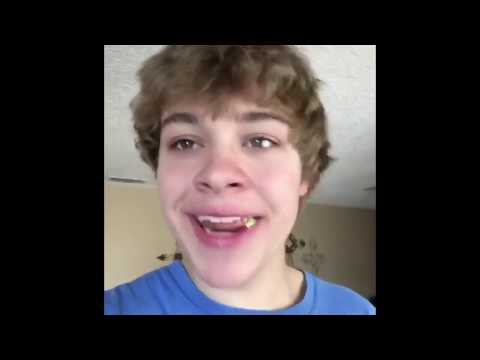 vines to replace my last two brain cells