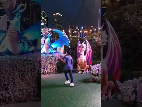 Dragons display #kpop #travel