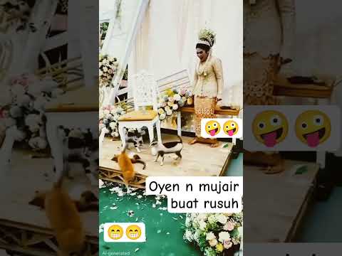 Oyen dan mujair buat rusuh diacara kawinan bikin ketar ketir