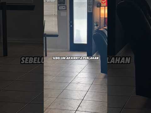 Mereka Melihat Anjing Mereka Kembali untuk Terakhir Kalinya