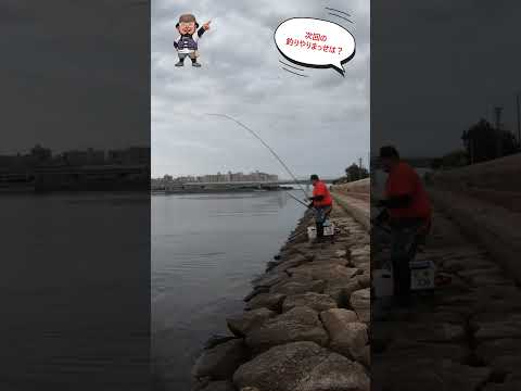 今回の釣りやりまっせは?#shorts