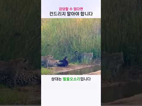 감당할 수 없다면 건드리지 말아야 합니다