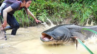 Hand-catching 1000+ giant catfish & carp to sell at the market - How to salt & preserve fresh fish