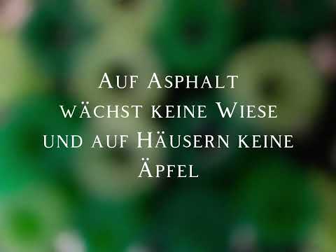 Halt, das ist unser Wald - Lyrics - Die Schule der magischen Tiere