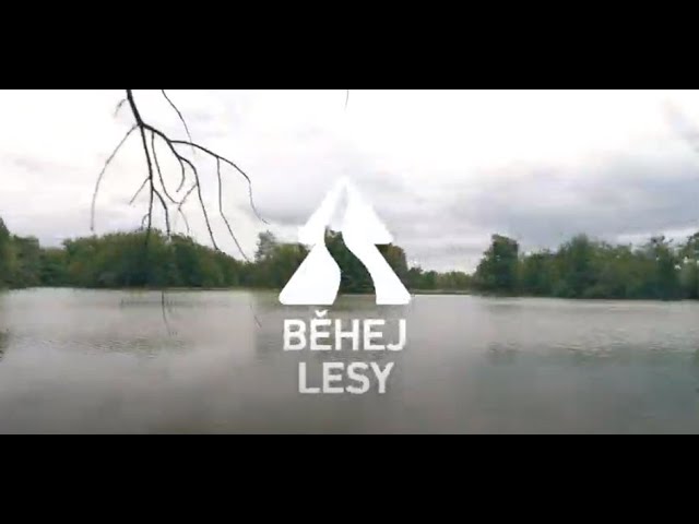 Běhej lesy Lednice 2019