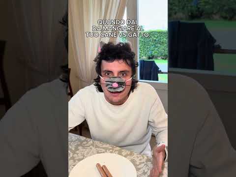 QUANDO DAI DA MANGIARE AL TUO CANE VS GATTO 🐱 🐶