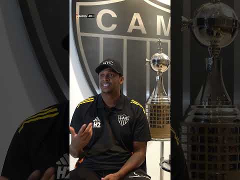 image para ilustrar o artigo