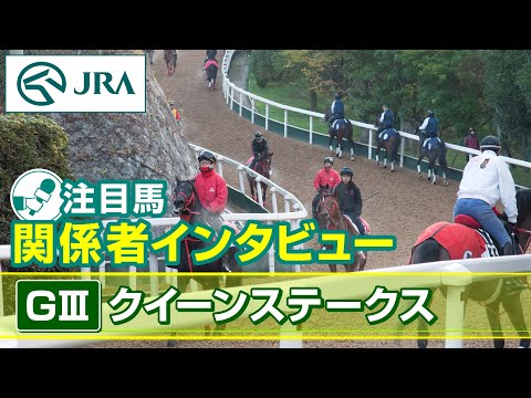 【注目馬 関係者インタビュー】2025年 クイーンステークス｜JRA公式