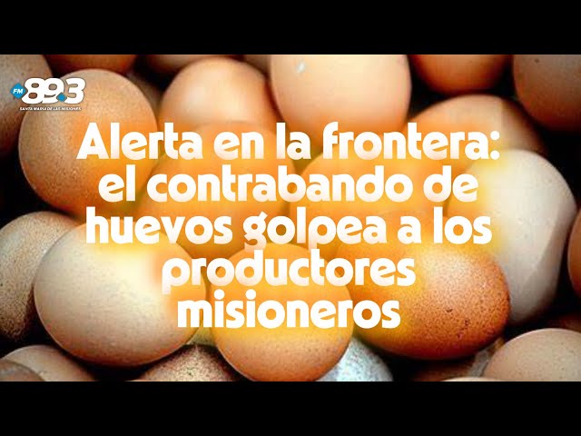 En la entrevista, Sergio Uhrig, presidente de Huevo Campo, denuncia el creciente contrabando de huevos desde países limítrofes como Paraguay 🚛🌎. Explica cómo esta práctica ilegal afecta directamente a la producción local al generar una competencia desleal, con precios que distorsionan el mercado y ponen en riesgo la sustentabilidad del sector. Uhrig subraya la necesidad de controles más estrictos y políticas claras que protejan a quienes apuestan por la calidad y el arraigo regional 💼🌾.#ContrabandoDeHuevos #DefendamosLoNuestro #ProducciónRegional✅ ¡Sintoniza la FM 89.3 para escuchar a Marcelo Giménez, Lodi Caballero junto a Ángel Miño en EL AIRE DE LAS MISIONES! 🗣️ Con sus voces y estilos únicos, te mantendrán entretenido e informado con noticias, música y entrevistas interesantes.Producción Patricia Flores.Operación Técnica: Nicky Zalaza