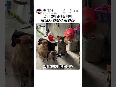 엄마 밥에 손대는 아빠를 <strong>막은</strong> 막내