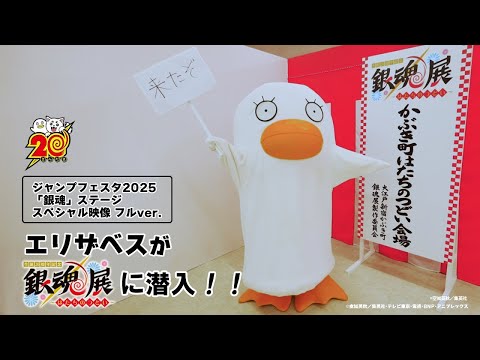 【銀魂】エリザベスが銀魂展に潜入！！【ジャンプフェスタ2025特別映像】