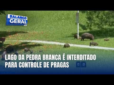 Lago da Pedra Branca é interditado para aplicação de inseticidas