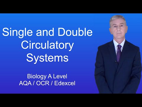 A Level Biology Revision “Single and Double Circulatory Systems”