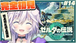 【ゼルダの伝説 ティアーズ オブ ザ キングダム】完全初見￤とにかく地上の気になるところ探索しまくる # 14#ぎんかいおんえあ  【銀灰ま