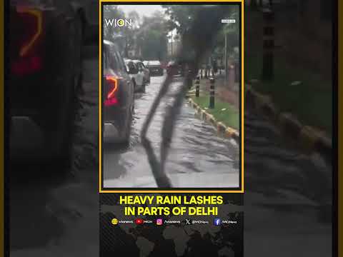 Delhi: Heavy Rain Lashes Across City Pockets  | WION Shorts