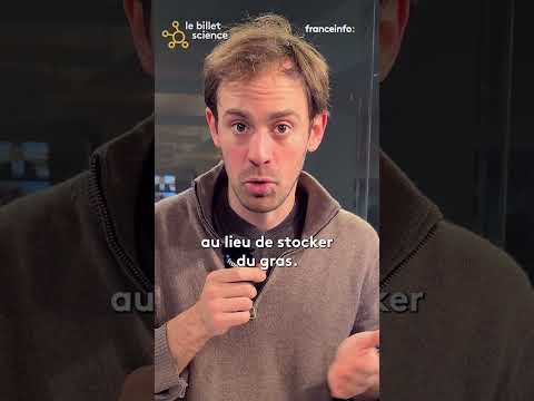 Bientôt un traitement contre l'ostéoporose quand on ne peut pas faire de sport ?