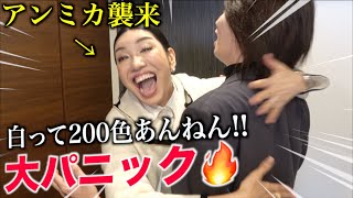 動画サムネイル