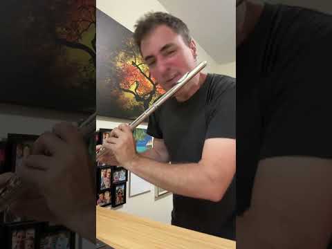 Fast Freestyle Beatbox Flute - Greg Pattillo