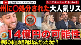 【続報】大人気リス「ピーナッツ」を⚪︎処分した州を相手取り飼い主が遂に訴訟へ！悪いのは飼い主なのか？州なのか？それとも・・あまりにも不可解す
