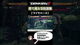 【鉄拳8】見て覚える用語集【ブイヤベース】