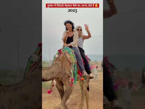 पुष्कर मेला2025 #subscribeचैनल 🙏 #viralshort #like #rajthani